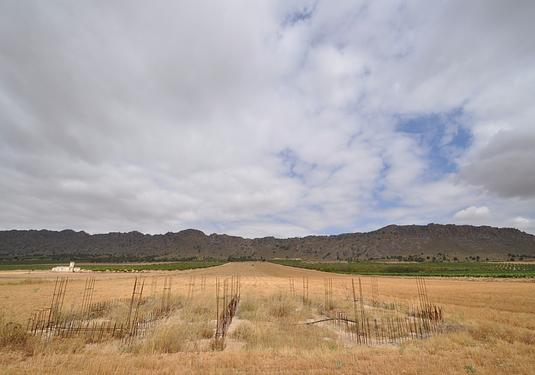 Land in Yecla