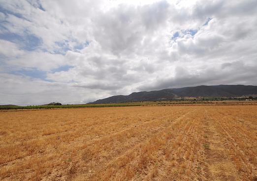 Land in Yecla