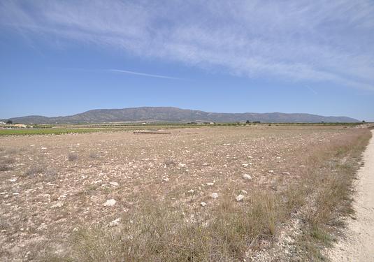 Land in Pinoso