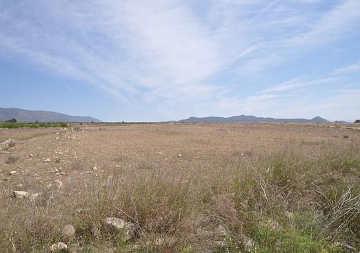 Land in Pinoso