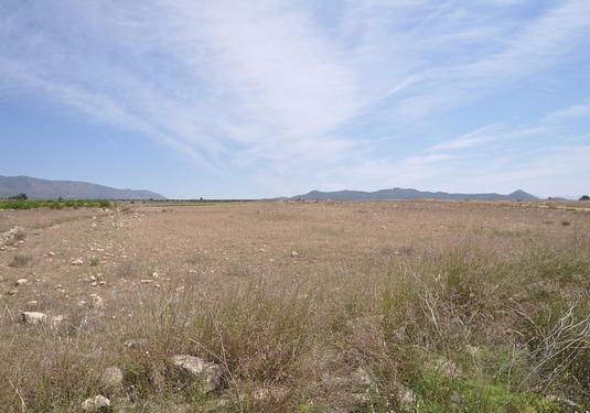 Land in Pinoso