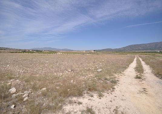 Land in Pinoso