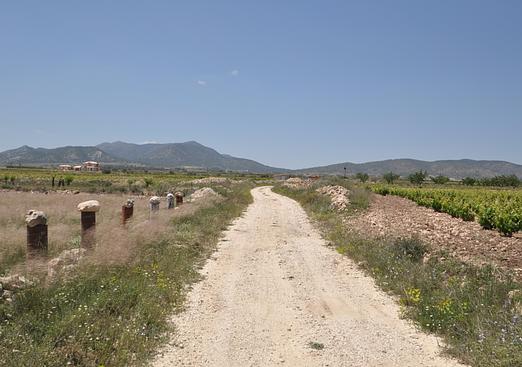 Land in Pinoso
