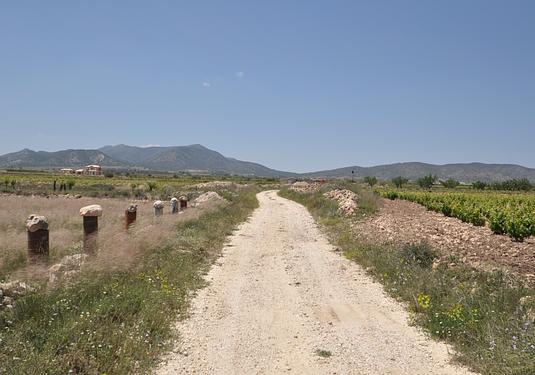 Land in Pinoso