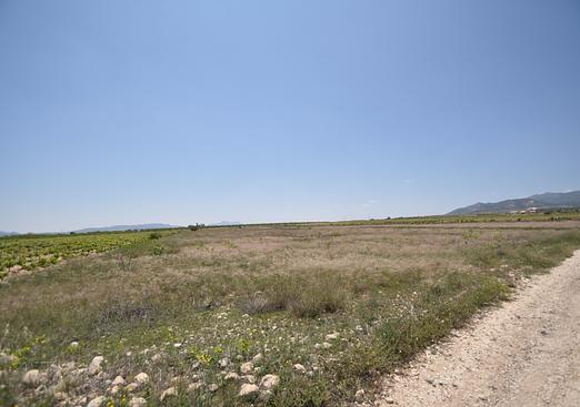 Land in Pinoso