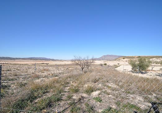 Country house in Jumilla
