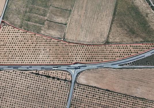Land in Yecla