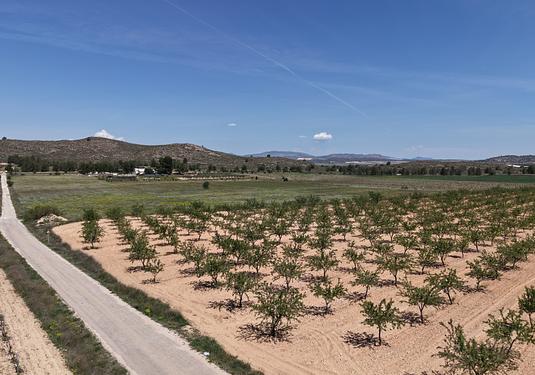 Land in Yecla