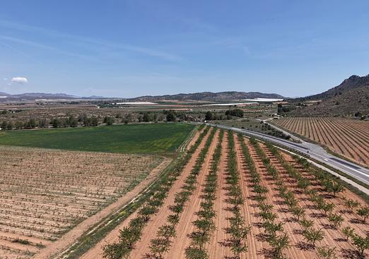 Land in Yecla
