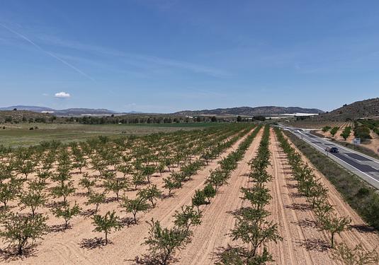 Land in Yecla